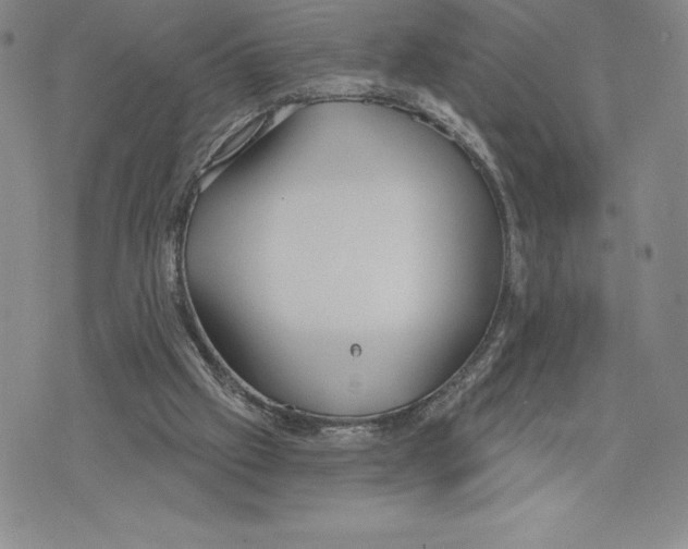 X0000075850057200610151620