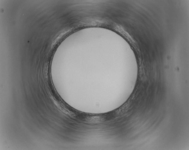 X0000075850058200610151620