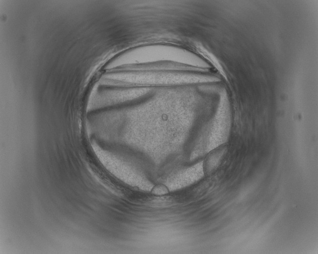 X0000075850059200610151620