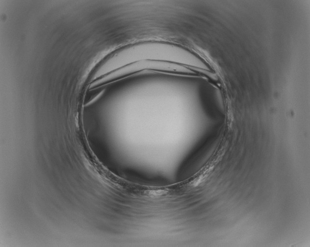 X0000075850060200610151620