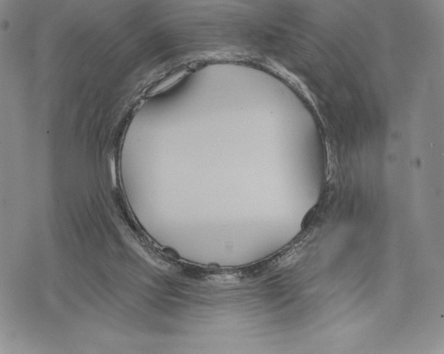 X0000075850061200610151620