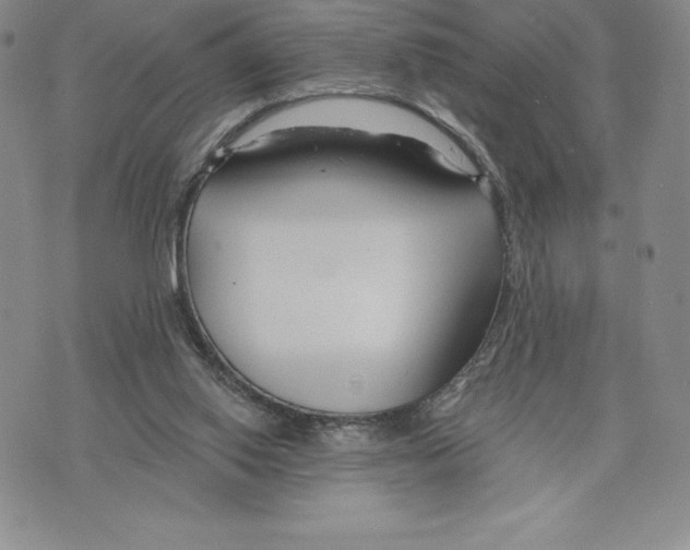 X0000075850062200610151620