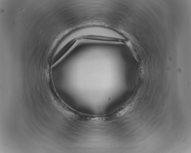 X0000075850064200610151620