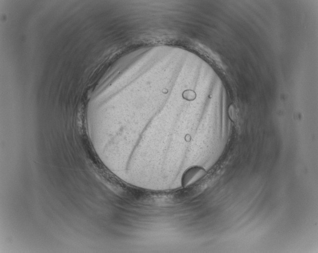 X0000075850065200610151620