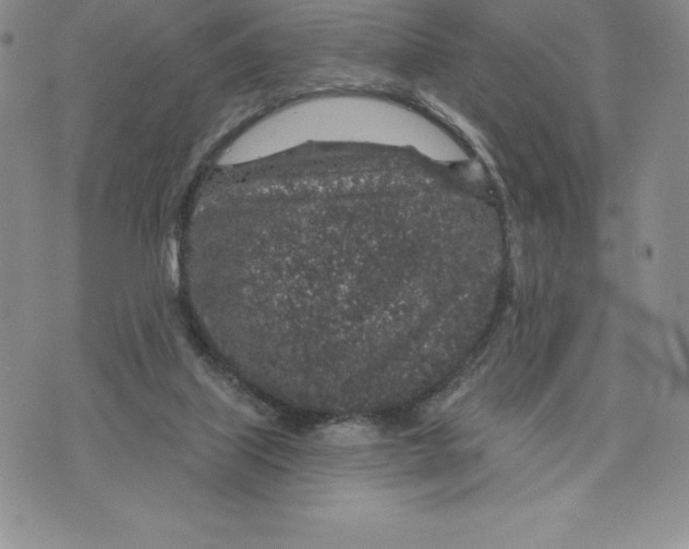 X0000075850067200610151620