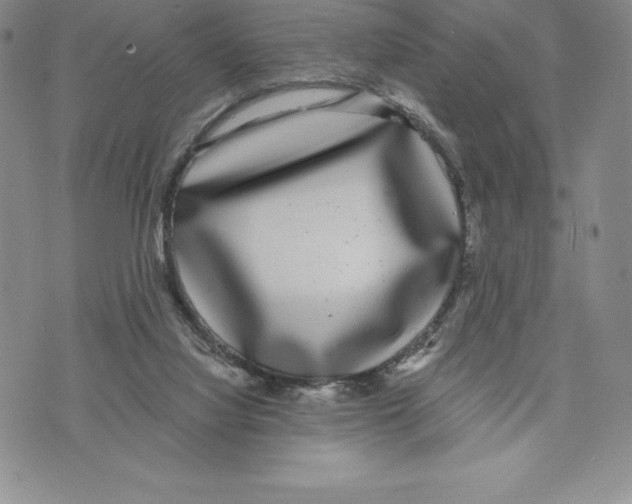 X0000075850068200610151620