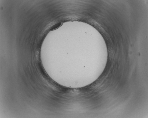 X0000075850071200610151620