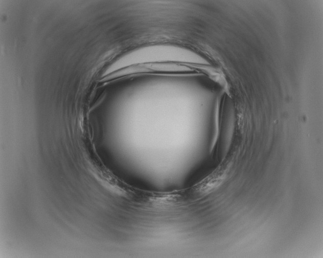 X0000075850072200610151620
