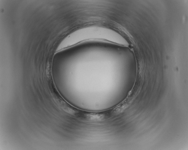 X0000075850073200610151620