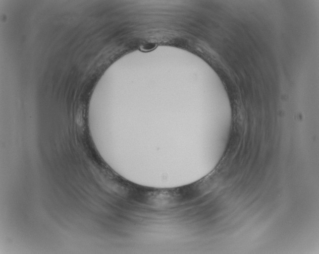 X0000075850074200610151621