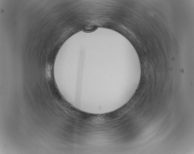 X0000075850075200610151621