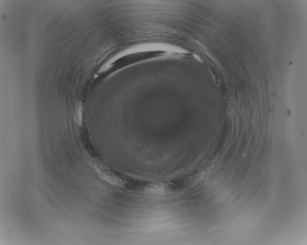 X0000075850076200610151621