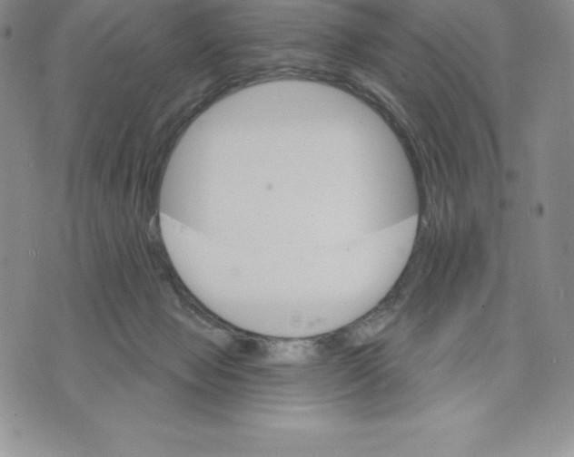 X0000075850077200610151621