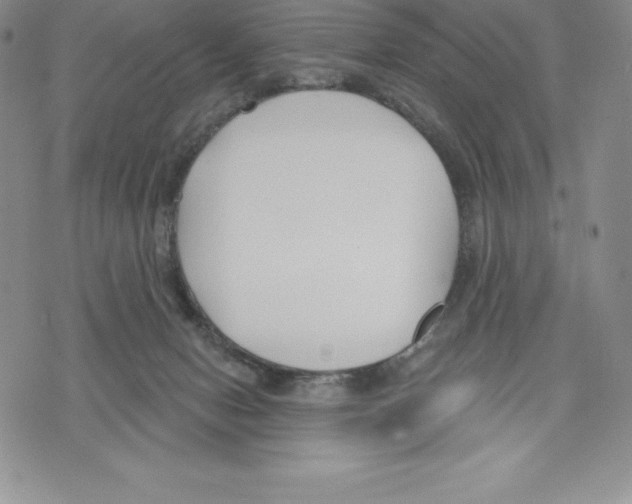 X0000075850078200610151621