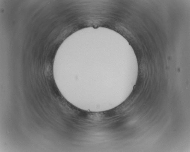 X0000075850079200610151621