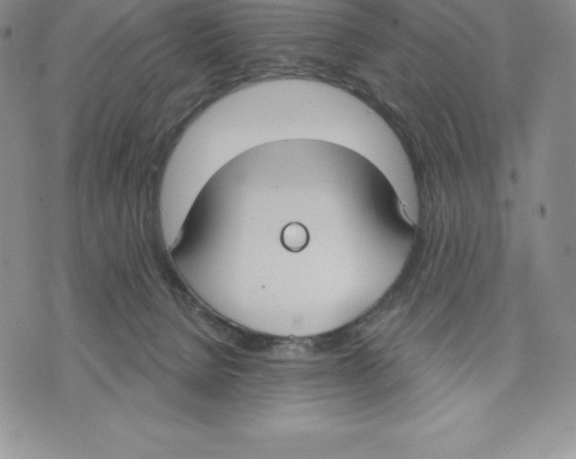 X0000075850080200610151621