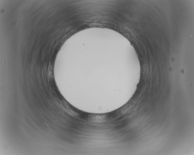 X0000075850081200610151621