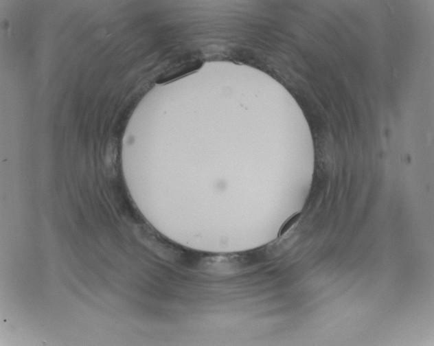 X0000075850082200610151621