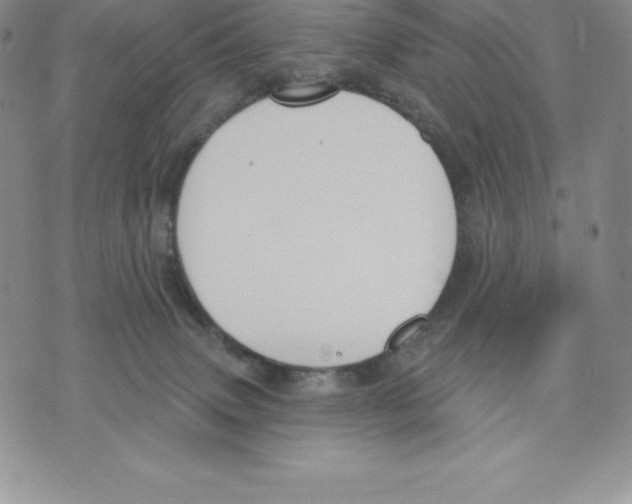 X0000075850083200610151621