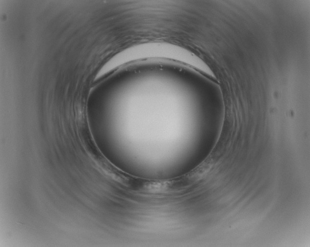 X0000075850084200610151621