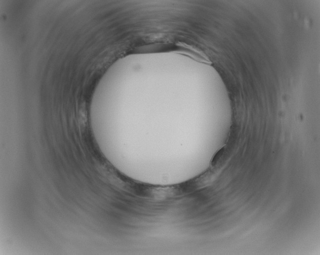 X0000075850085200610151621