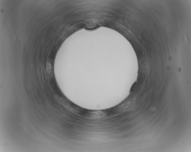 X0000075850087200610151621