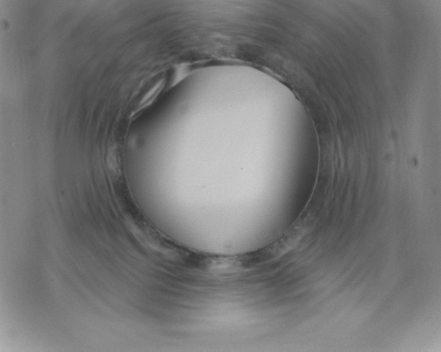 X0000075850088200610151621