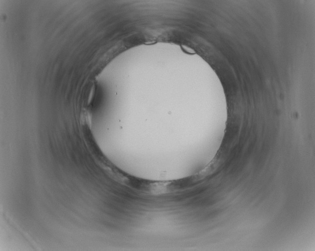 X0000075850090200610151621