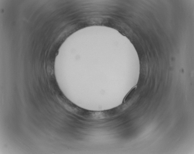 X0000075850091200610151621