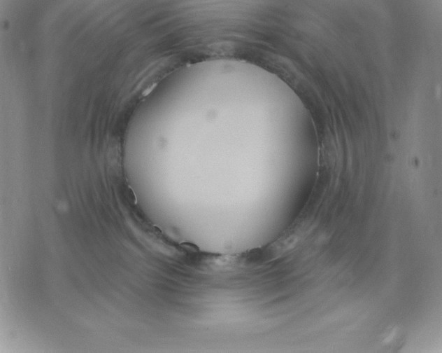 X0000075850092200610151621