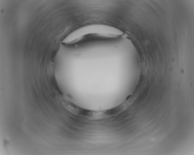 X0000075850093200610151621