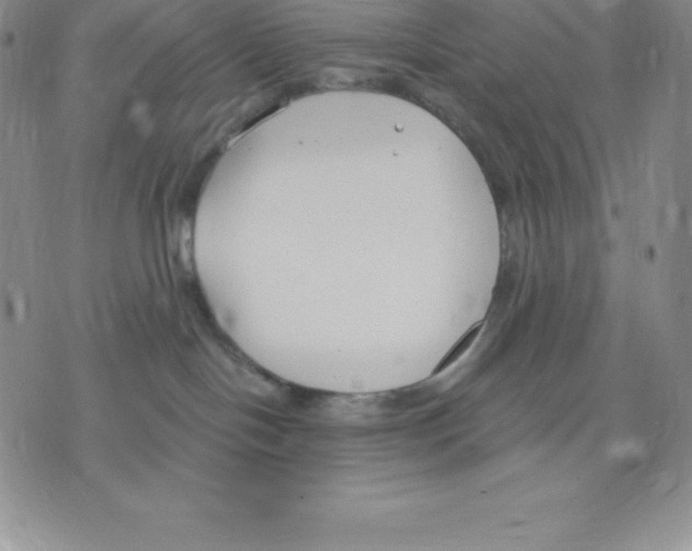 X0000075850094200610151621