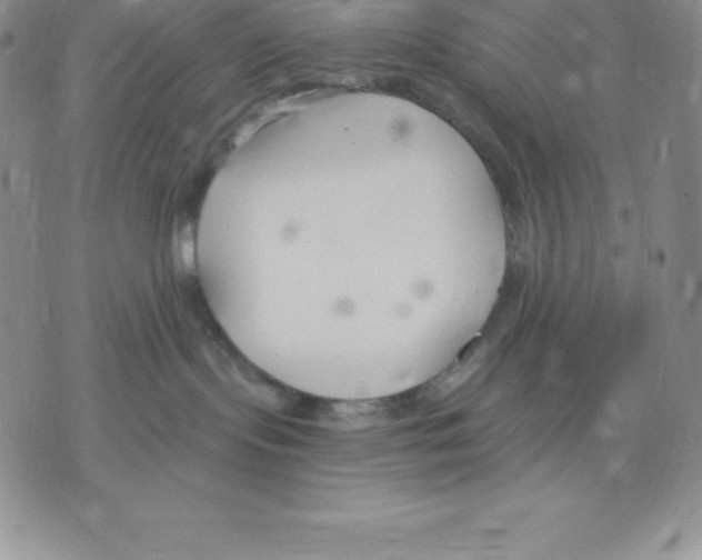 X0000075850095200610151621