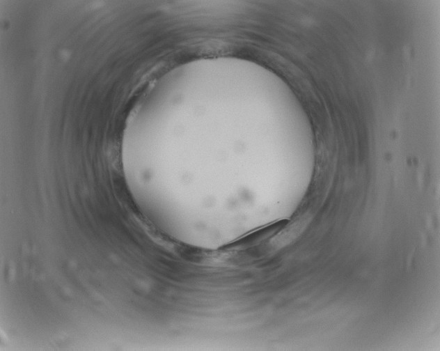 X0000075850096200610151621