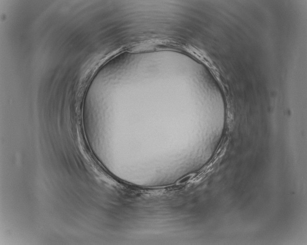 X0000075850097200610151620