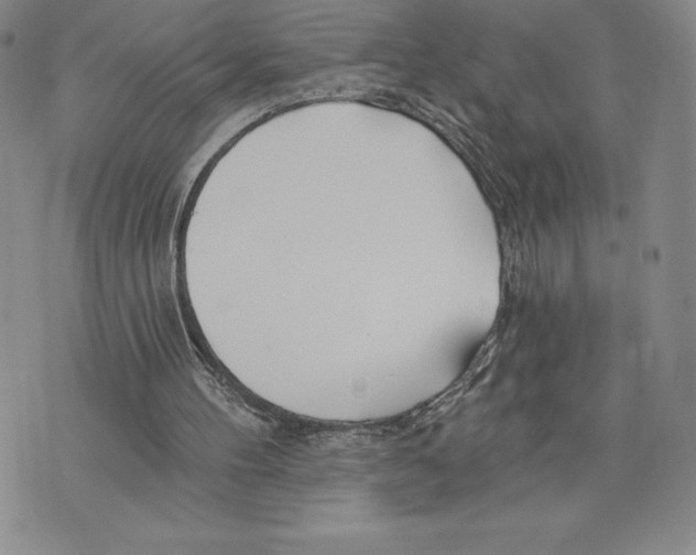 X0000075850100200610151620