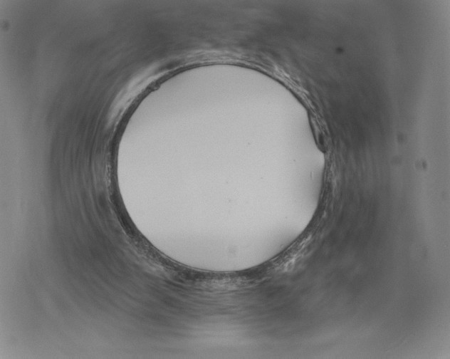 X0000075850103200610151620