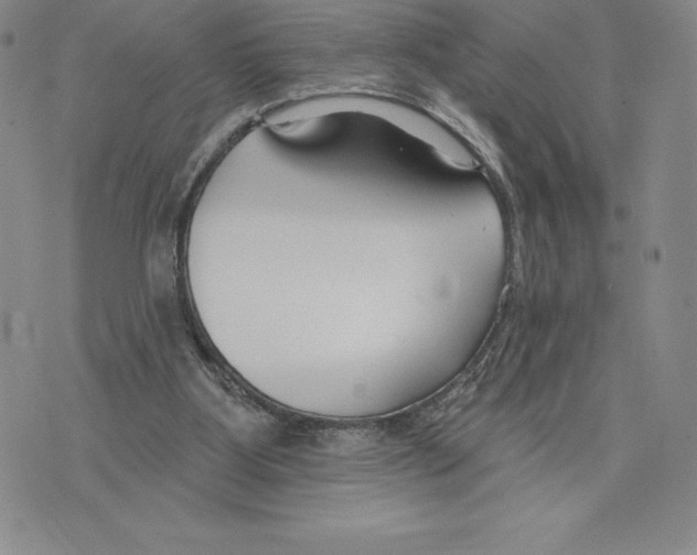 X0000075850107200610151620