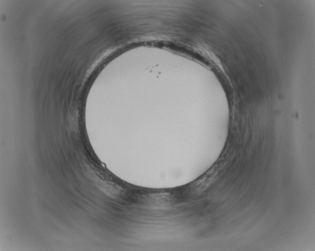 X0000075850108200610151620