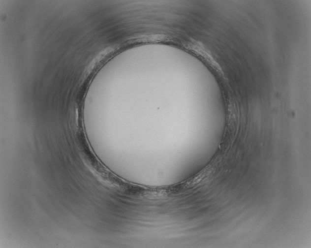 X0000075850110200610151620