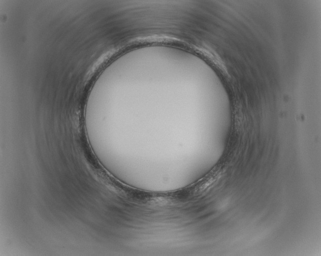 X0000075850111200610151620