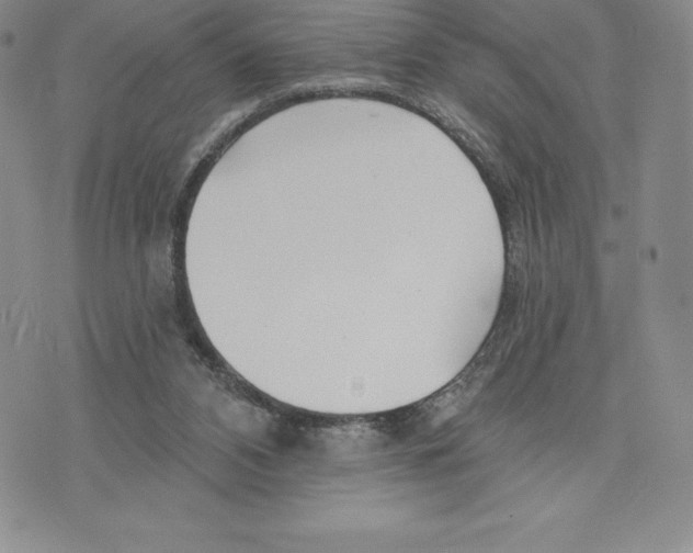 X0000075850112200610151620