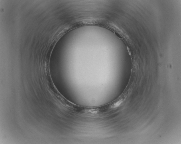 X0000075850117200610151620