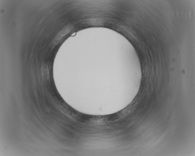 X0000075850120200610151620