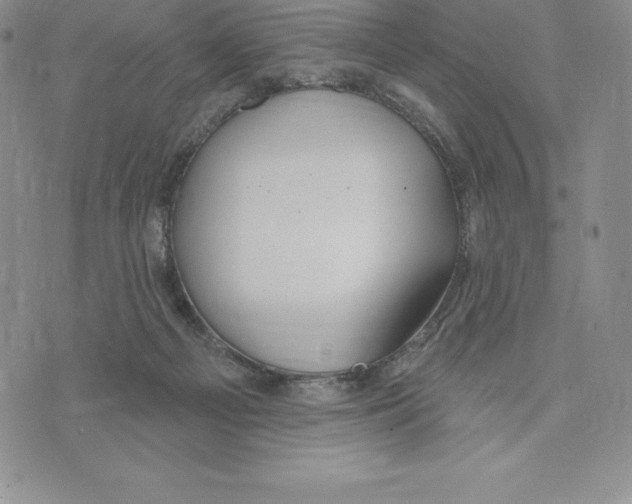 X0000075850121200610151620