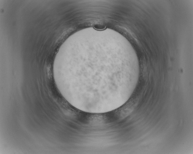 X0000075850123200610151620