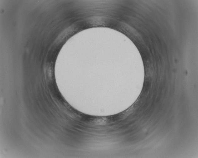 X0000075850124200610151620