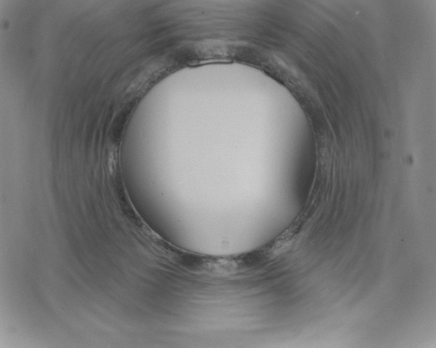 X0000075850125200610151620