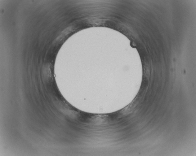 X0000075850128200610151620