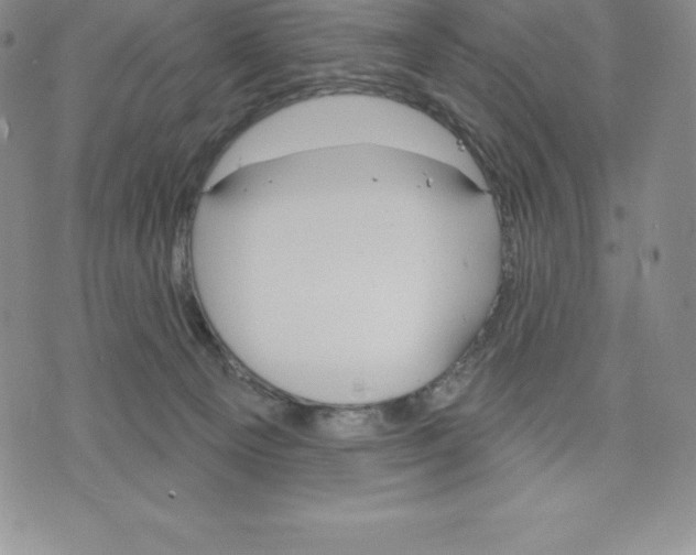 X0000075850129200610151620